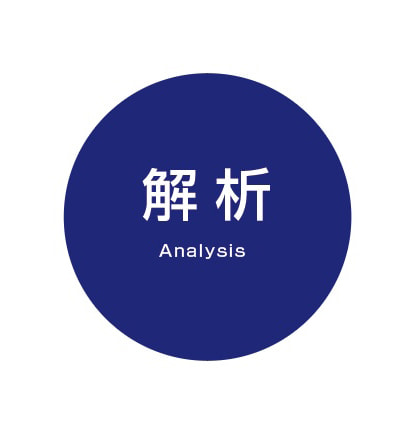 解析 Analysis